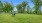 pet park with green areas